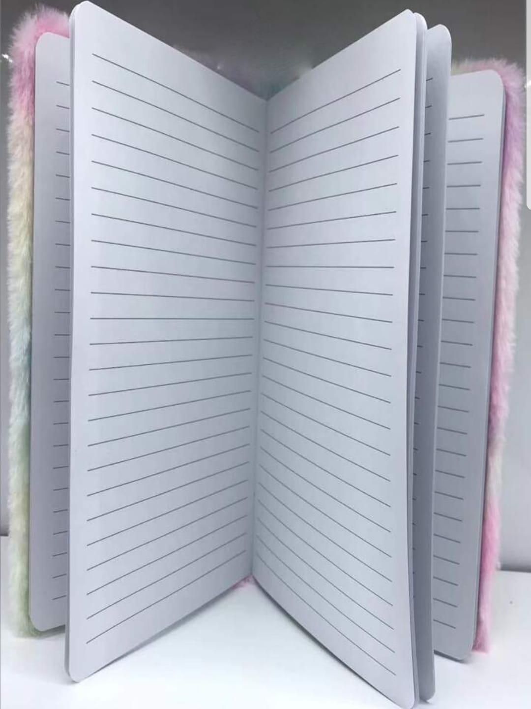 Fer DIARY big