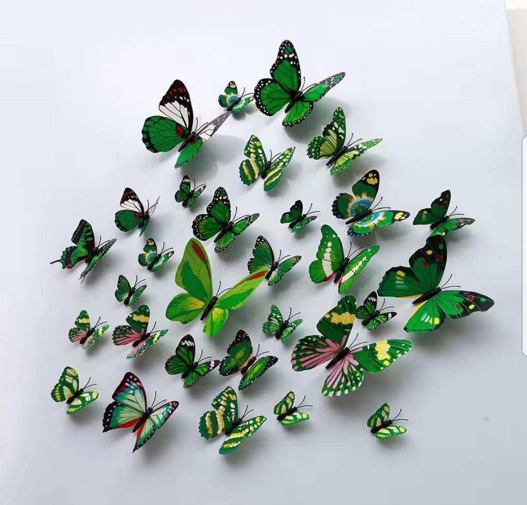 WH160.54 3D Butterfly