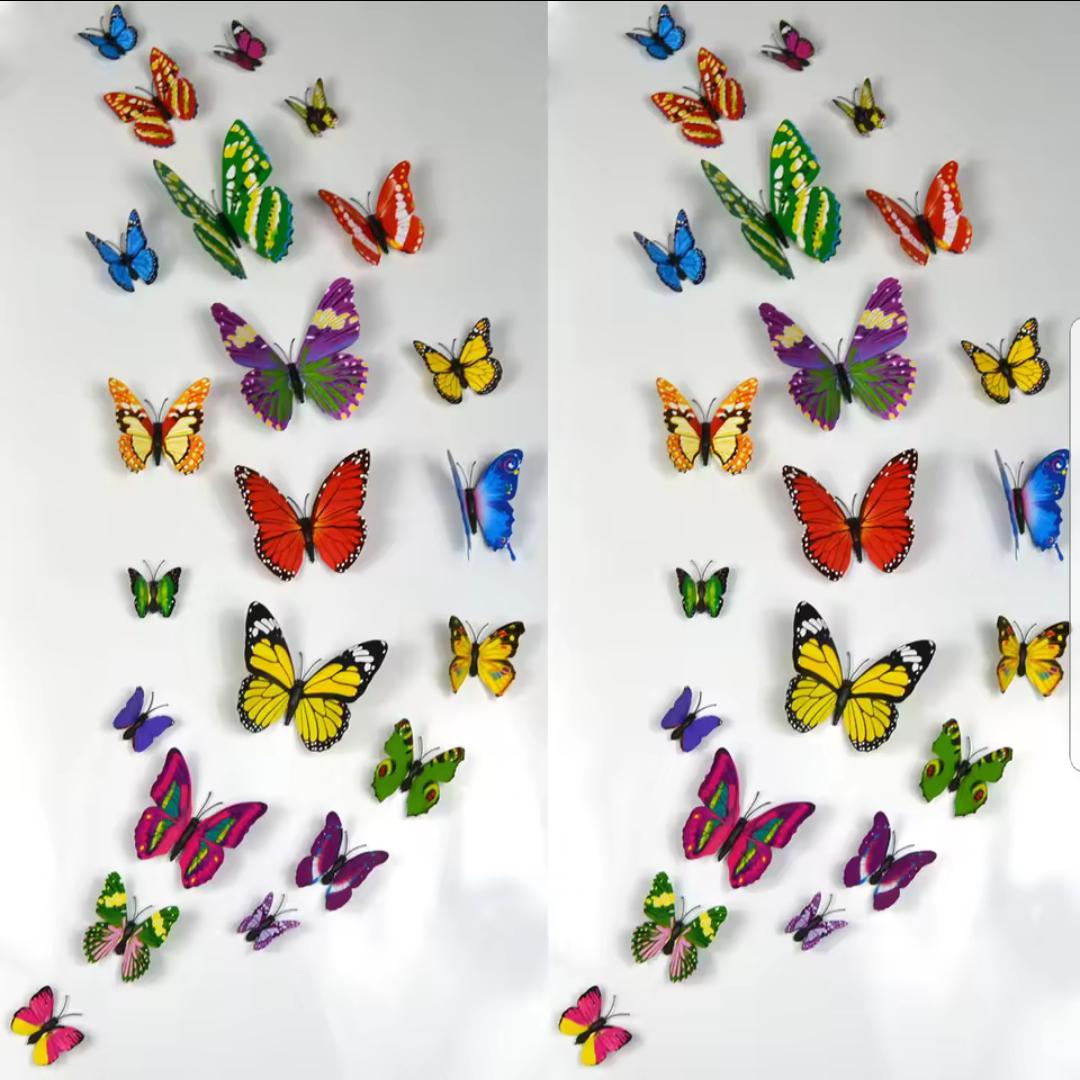 WH160.54 3D Butterfly