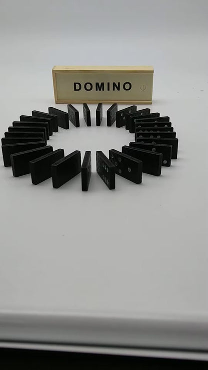 WS190.54Domino Set